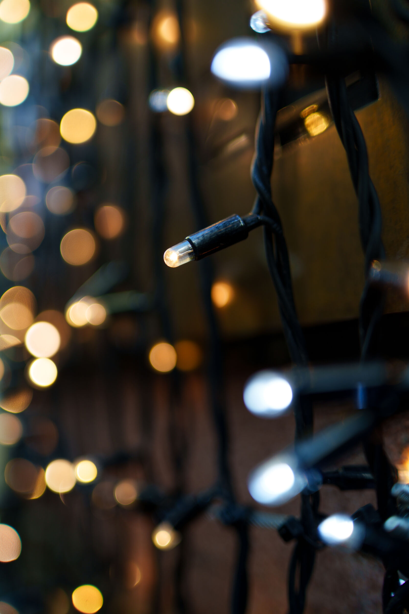 Samyang AF 35mm F1.4 P sample photo. Seasonal decoration photography