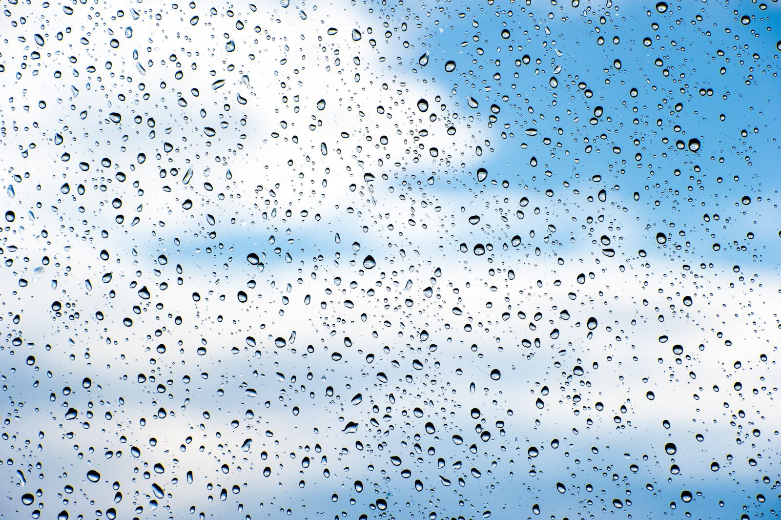 Nikon D700 sample photo. Rain, background, storm photography