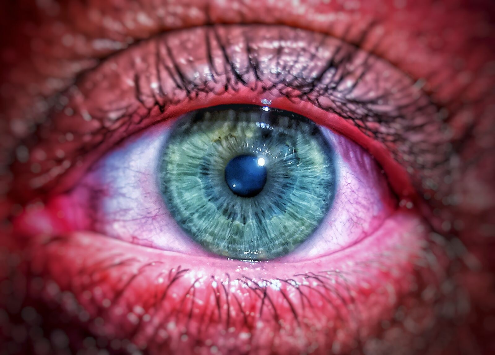 HUAWEI LYA-L29 sample photo. Eyes, details, face photography