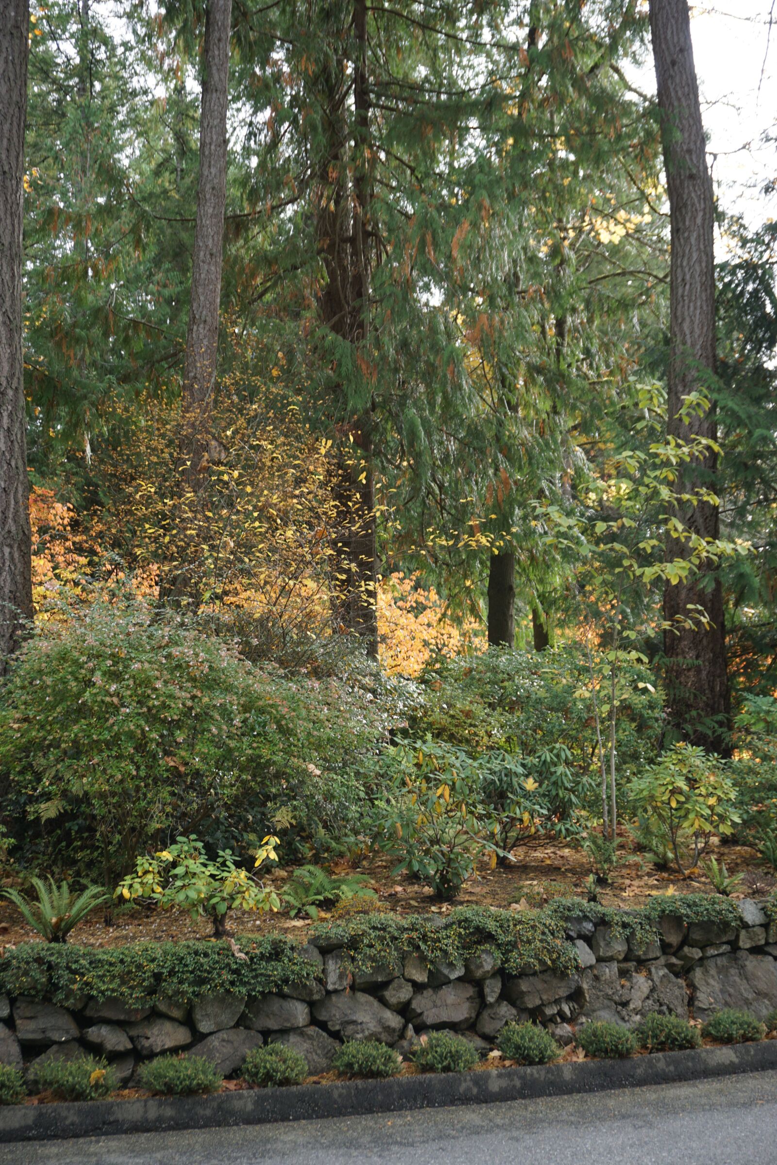 Sony a6000 sample photo. Butchart garden, victoria, british photography