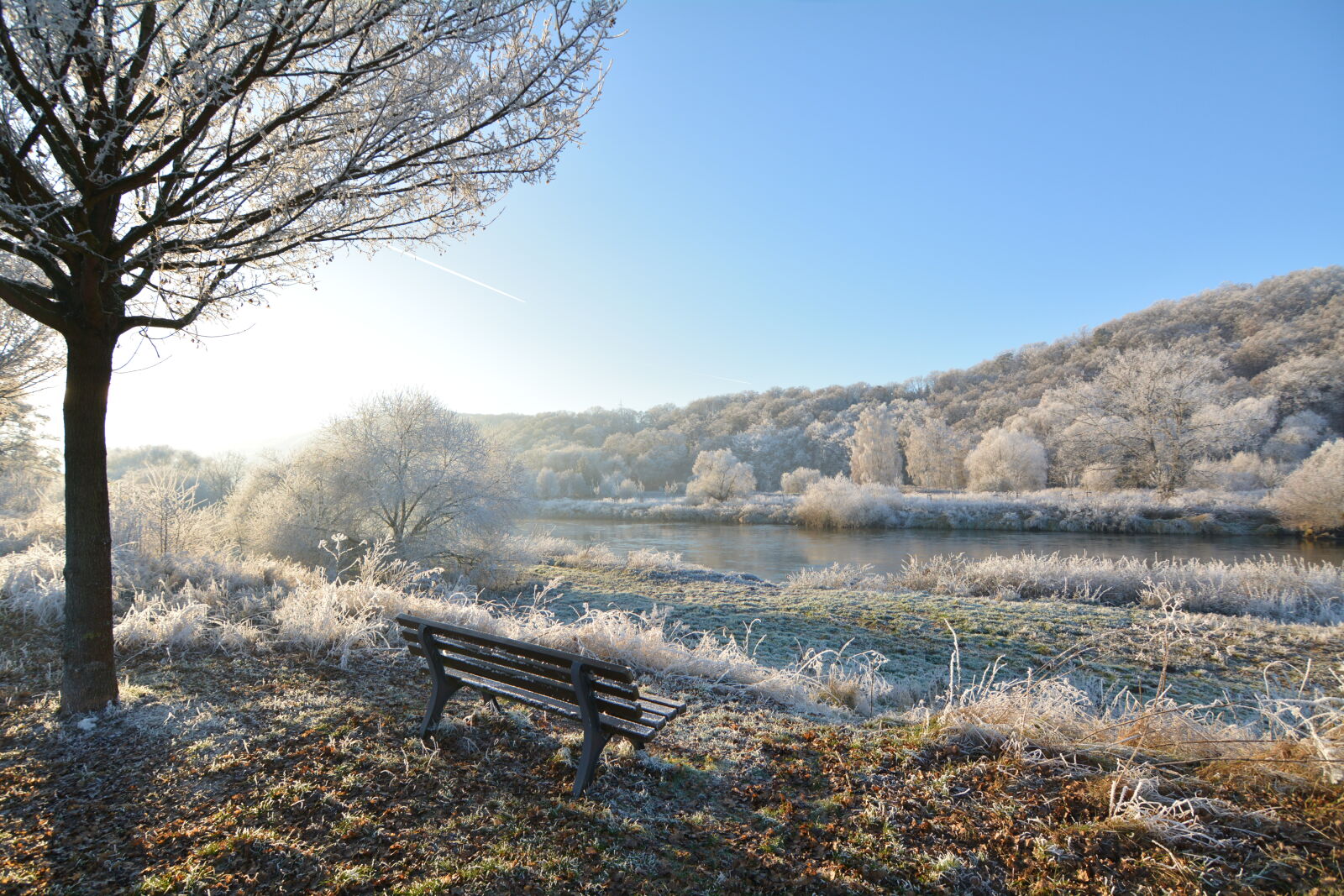 Tokina AT-X Pro 11-16mm F2.8 DX II sample photo. Bench, daylight, fog, frost photography