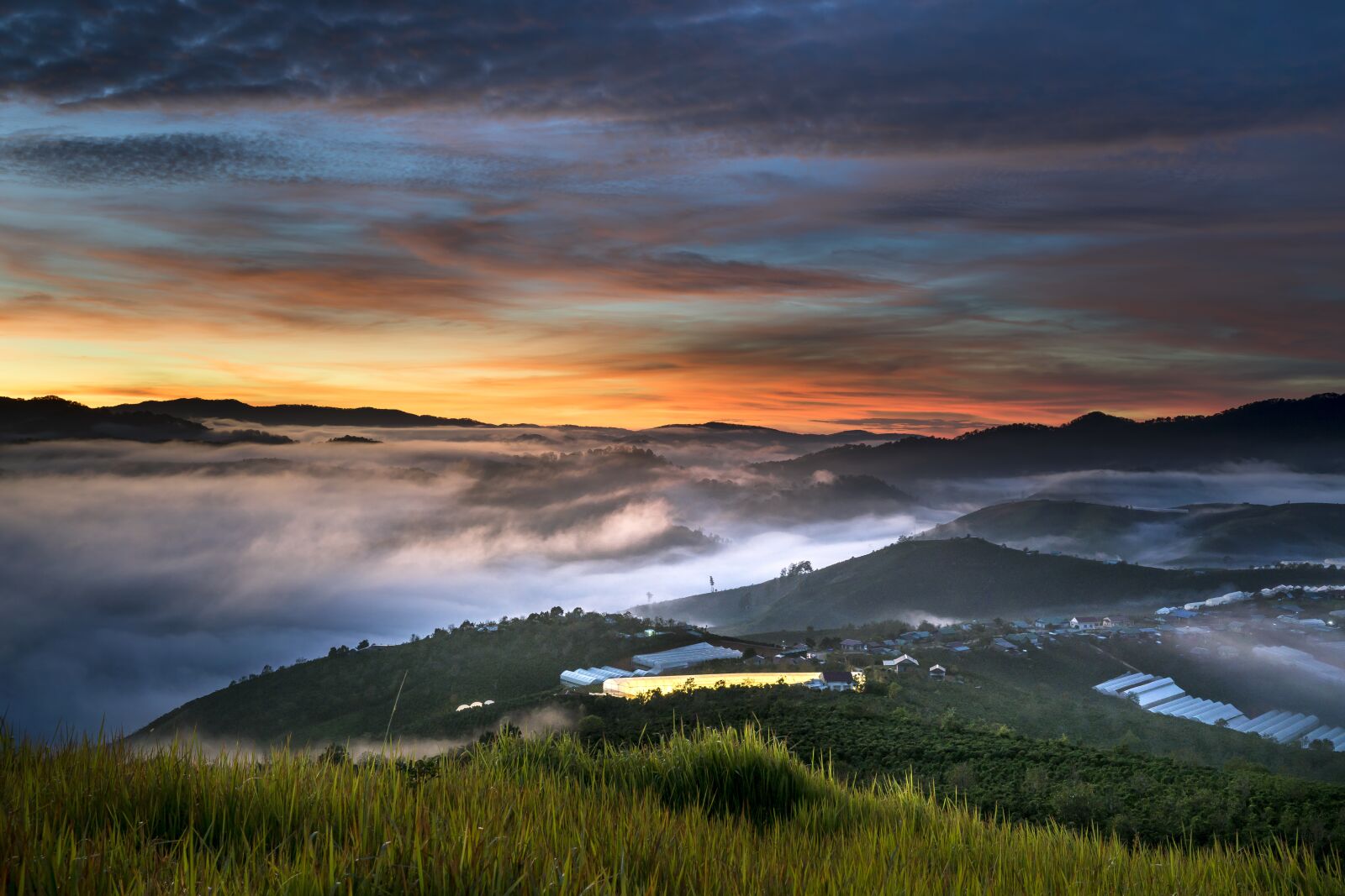 Sony a7R II + Sony FE 24-70mm F2.8 GM sample photo. Da lat, vietnam, planting photography