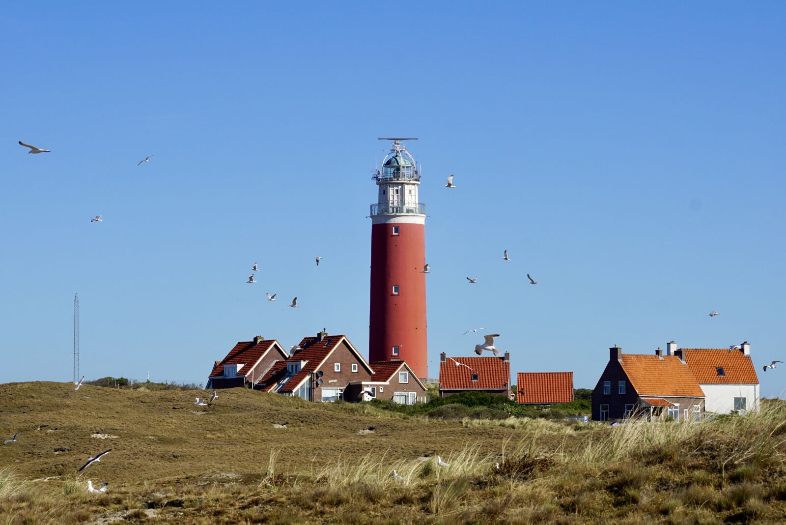Sony DT 55-300mm F4.5-5.6 SAM sample photo. Lighthouse, texel, vacations photography