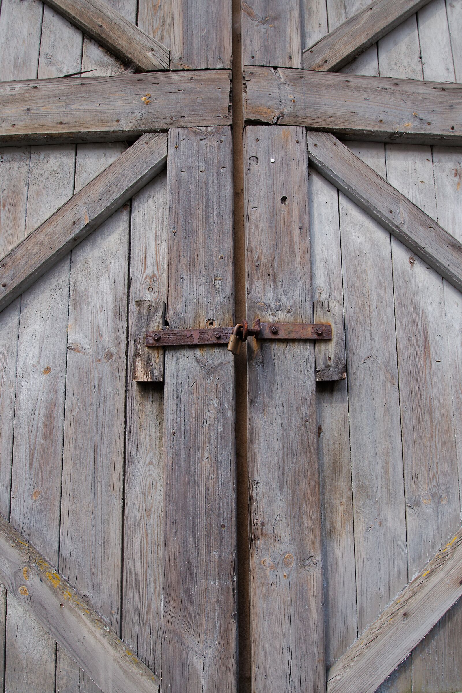 Canon EOS 6D sample photo. Wood, woods, old photography
