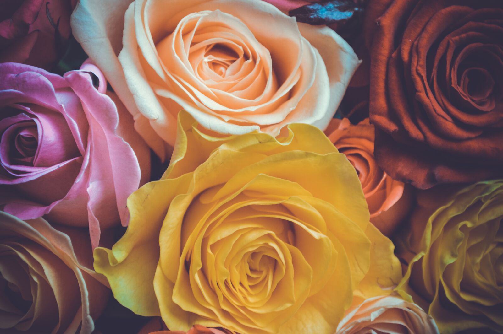 Nikon D3200 sample photo. International women's day, spring photography