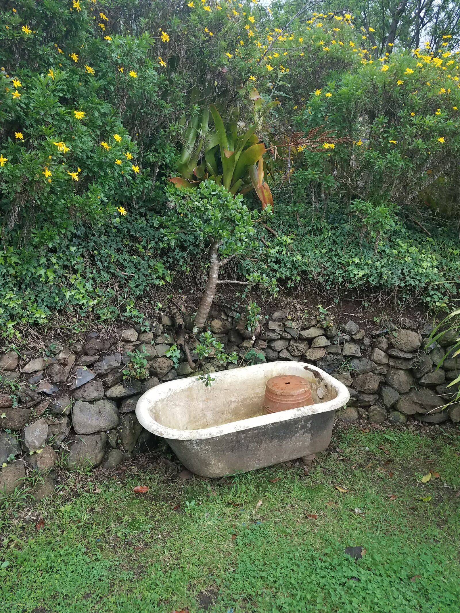 Samsung Galaxy S7 Edge sample photo. Bathtub, garden, old photography