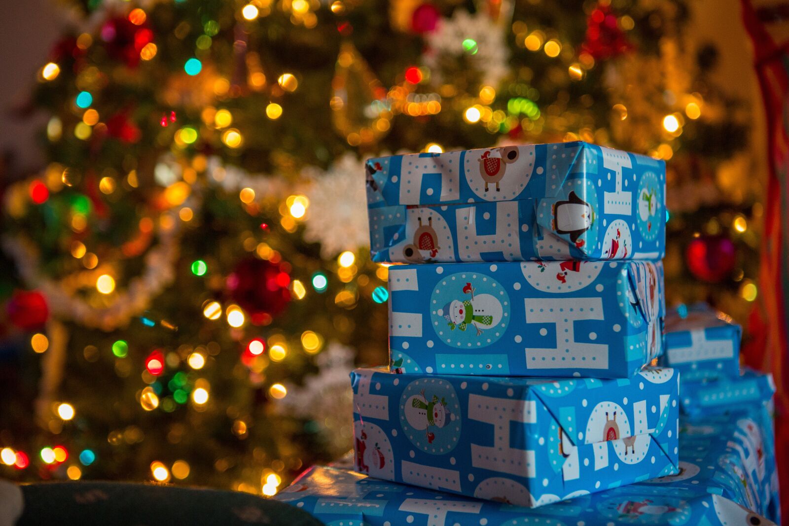 Canon EF 24-70mm F2.8L USM sample photo. Christmas, presents, tree photography