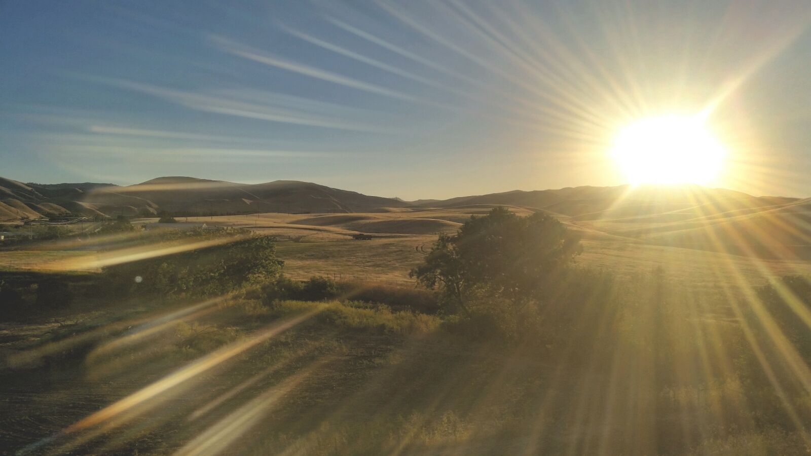Samsung Galaxy S5 sample photo. Field, sunset, tree photography