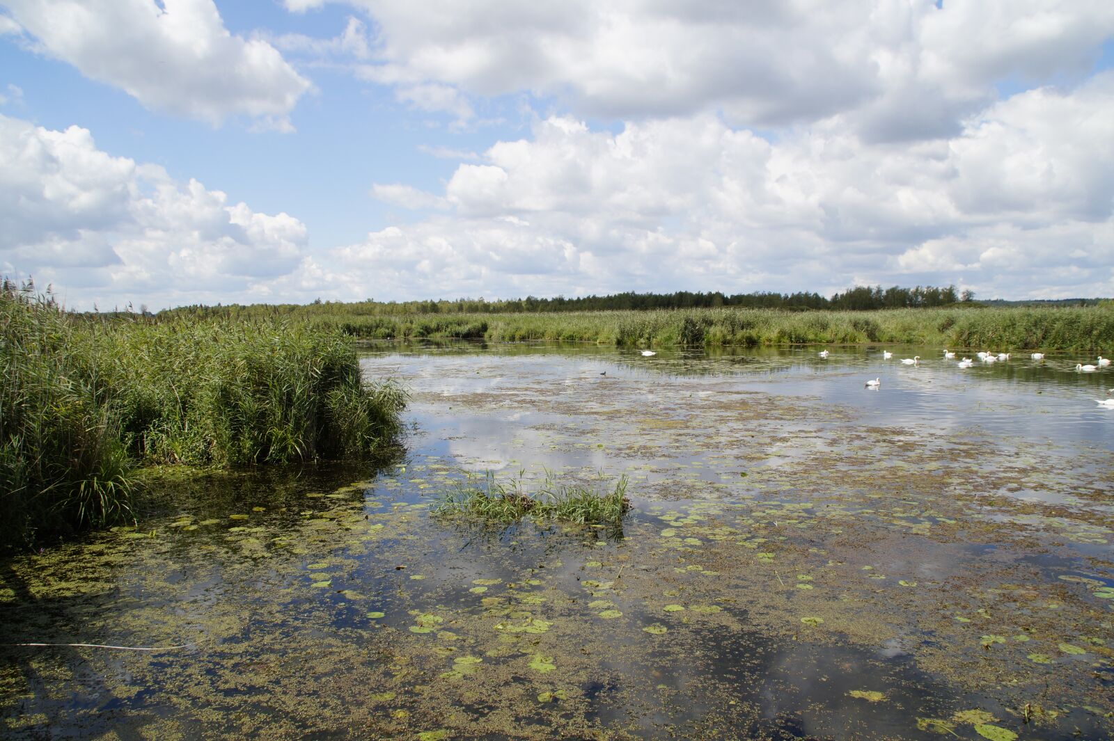 Sony SLT-A58 sample photo. Landscape, spring lake, nature photography