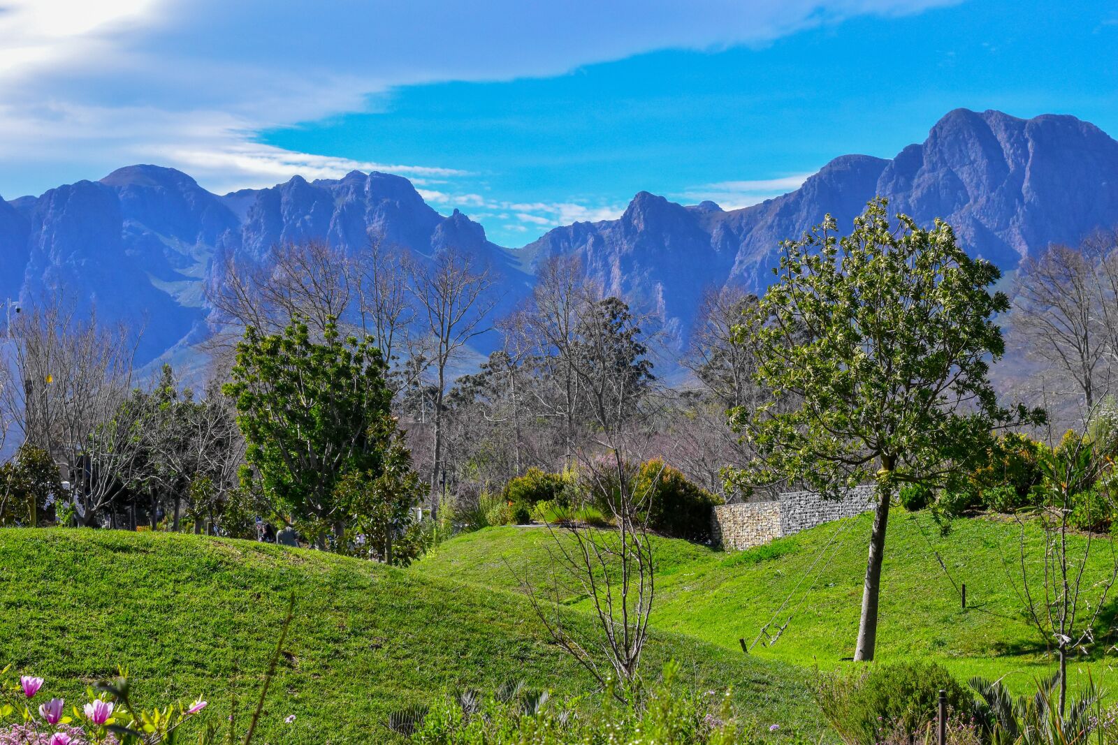 Nikon D5500 sample photo. Trees, sky, mountain photography