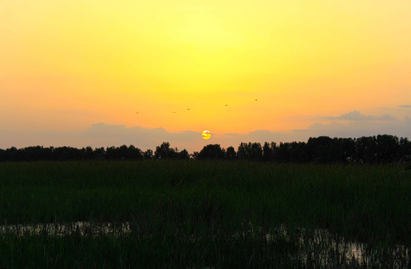 Canon EOS 600D (Rebel EOS T3i / EOS Kiss X5) sample photo. Sunset, landscape, nature photography