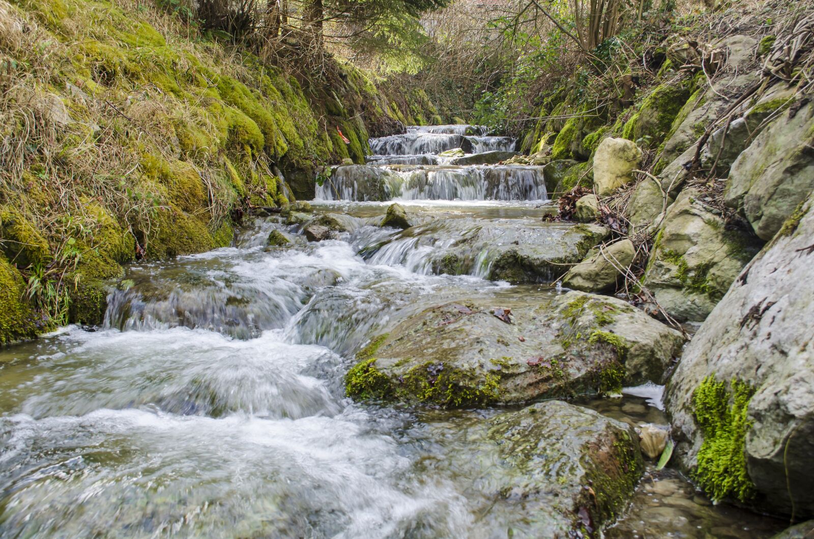 Nikon D7000 sample photo. Landscape, outdoor, nature photography