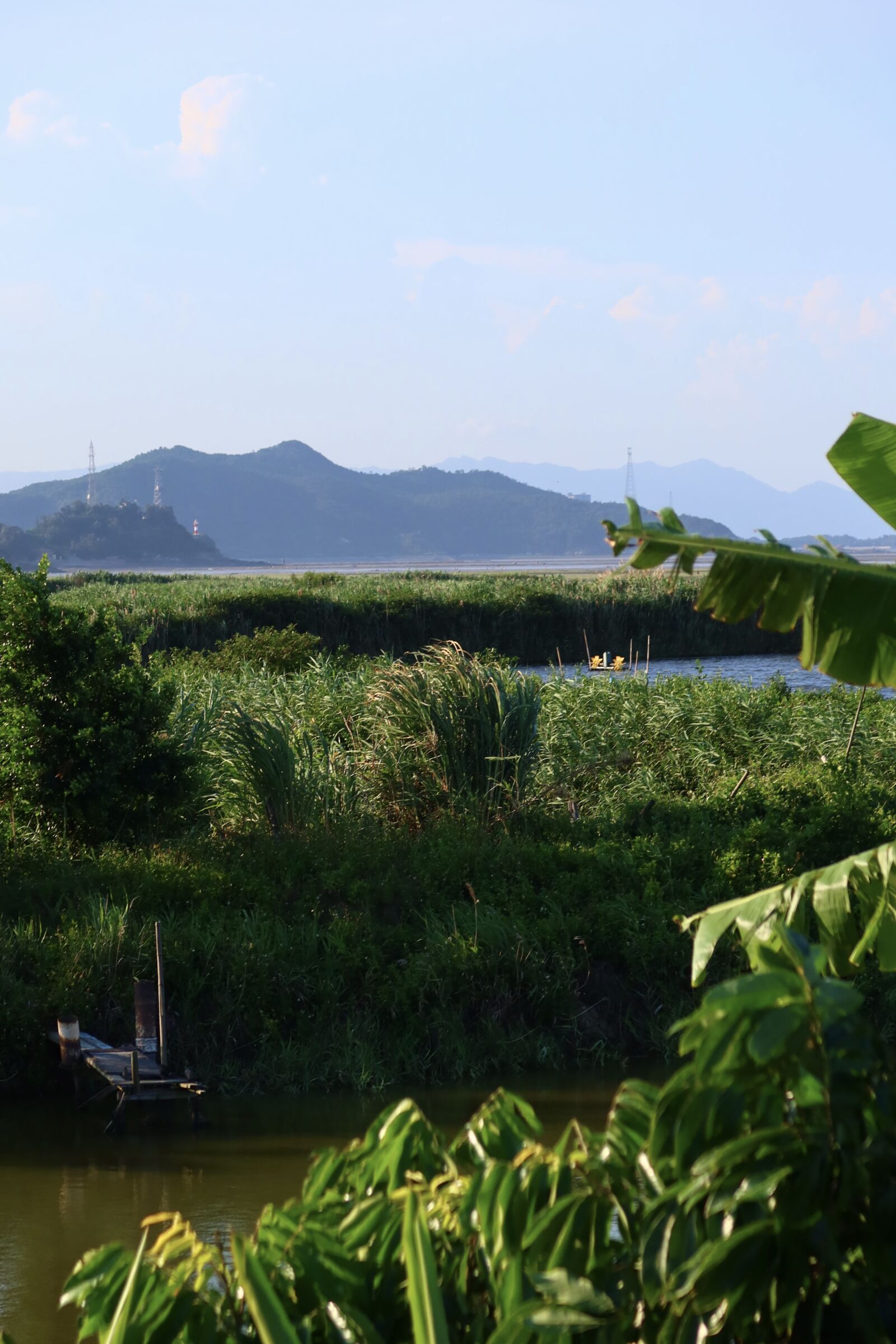 Canon PowerShot G7 X Mark III sample photo