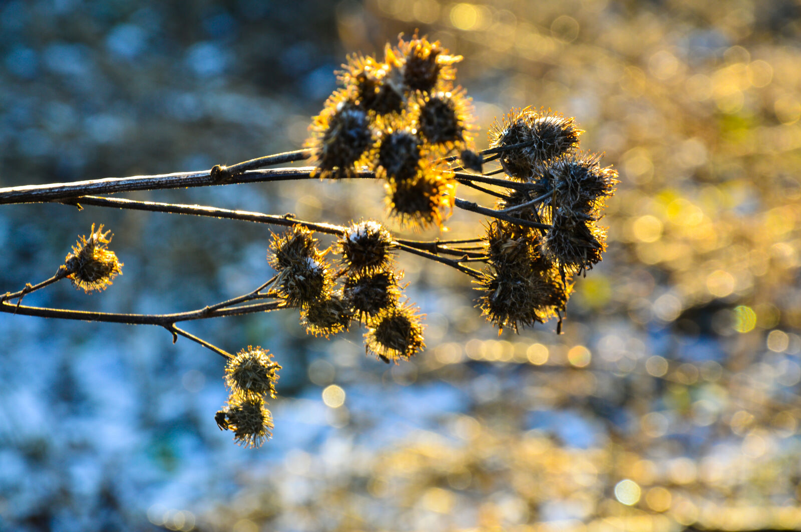 Nikon D3200 sample photo