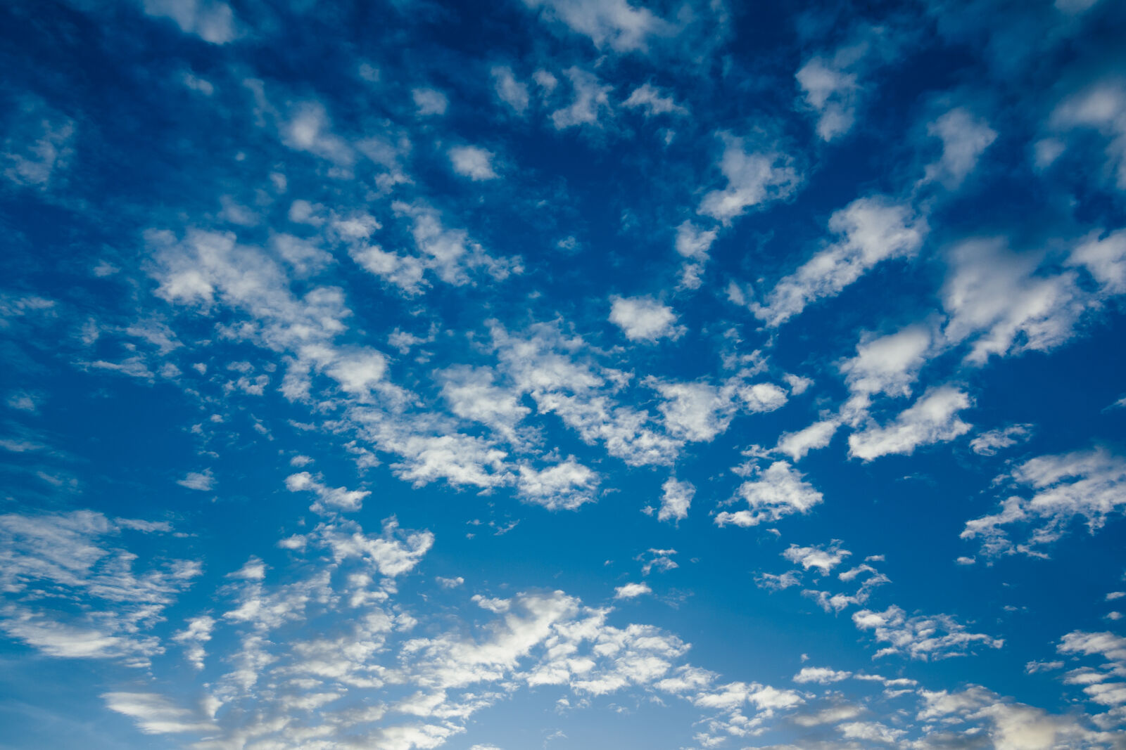Canon EOS 60D sample photo. Background, blue, blue, sky photography