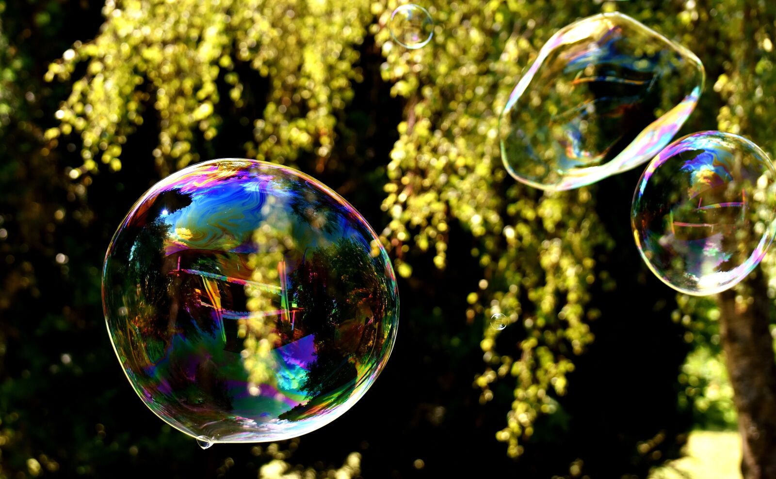 Nikon D7200 sample photo. Soap bubbles, huge, large photography