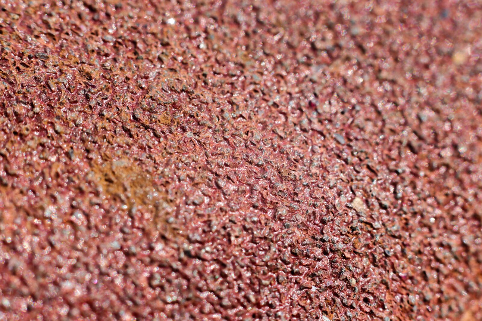 Canon EOS 80D + Canon EF 50mm F1.8 STM sample photo. Sand paper, macro, crisp photography