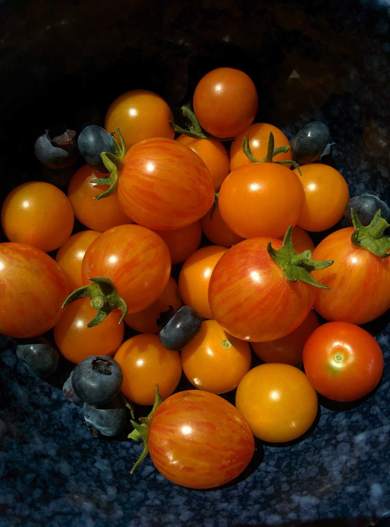LG Nexus 5 sample photo. Tomatoes, vegetable, garden photography