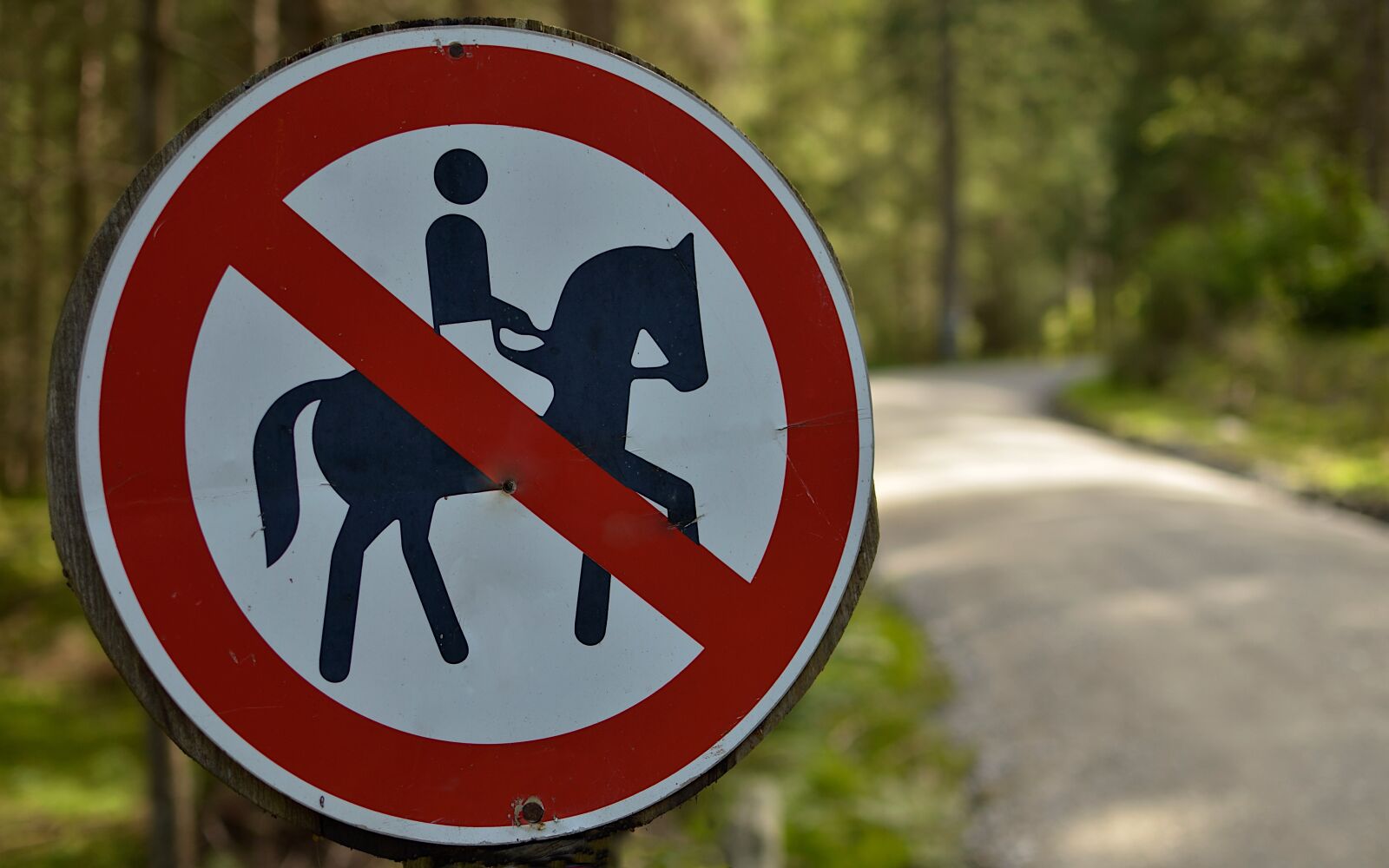 Nikon D7000 sample photo. Sign, the prohibition of photography