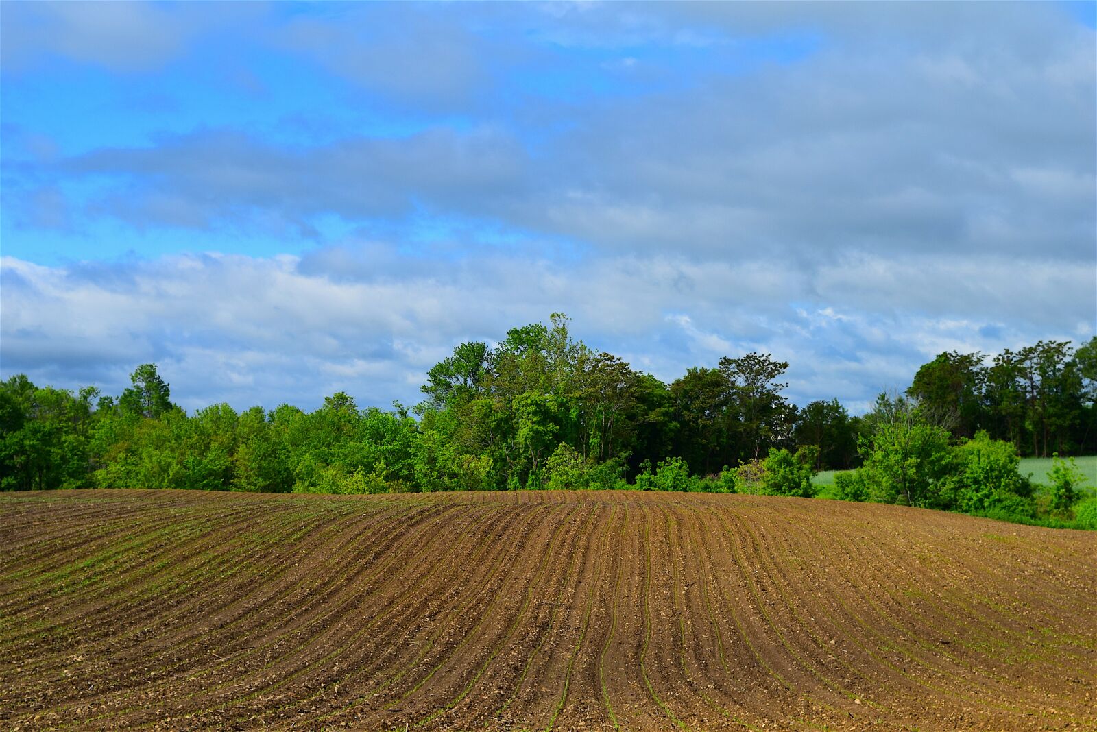 Nikon D3300 sample photo. Farmland, spring, planting photography