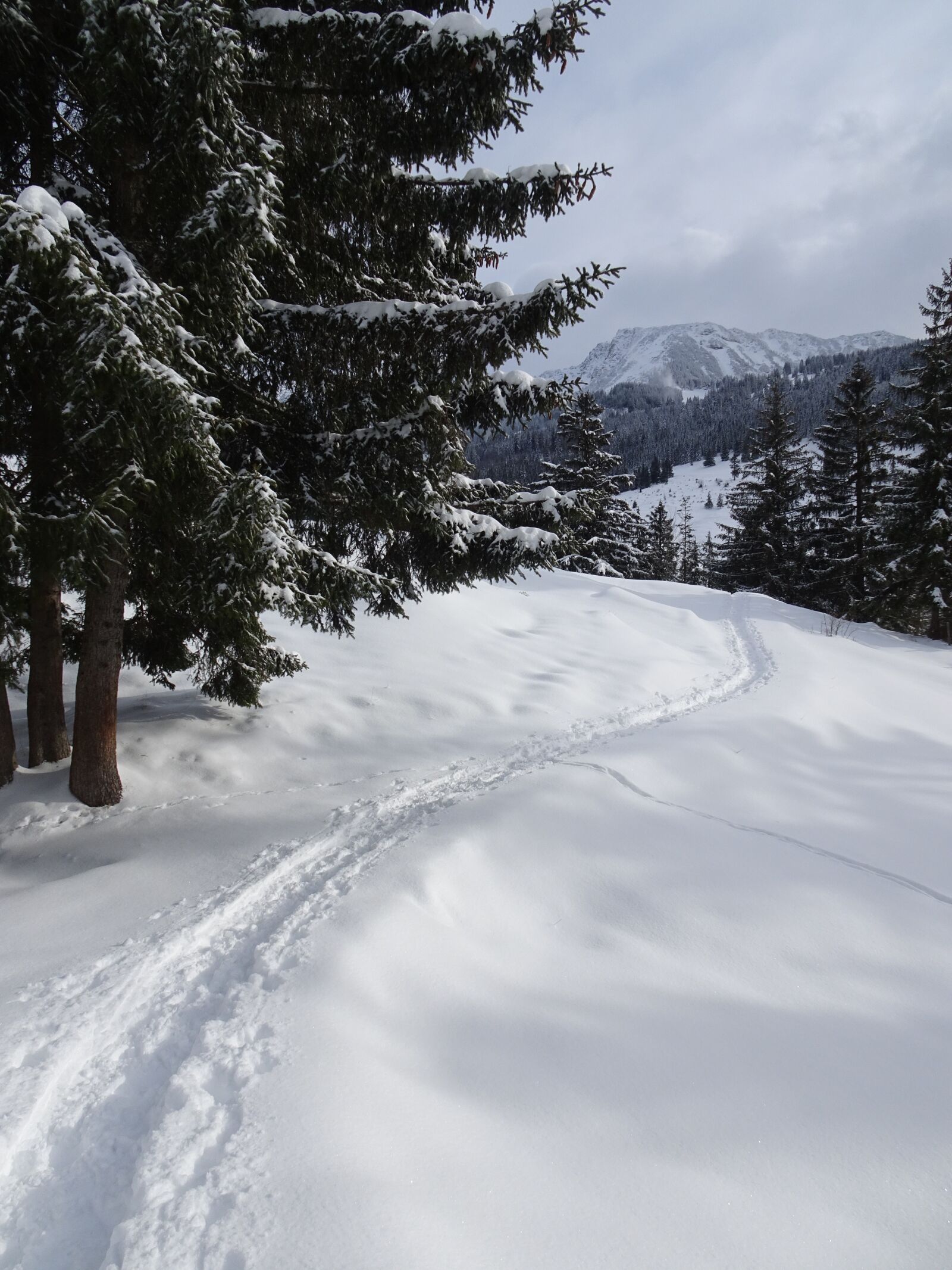 Sony Cyber-shot DSC-WX500 sample photo. Winter, snow, winterspaziergang photography