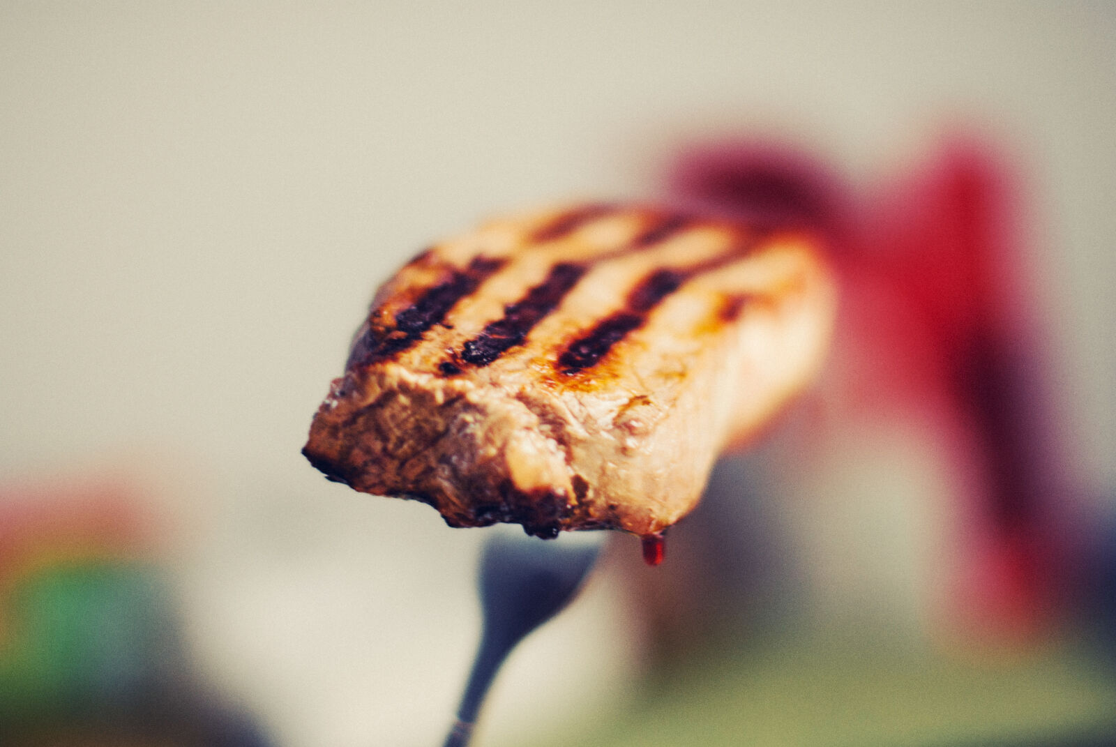 Nikon D60 sample photo. Food, dinner, steak, fork photography