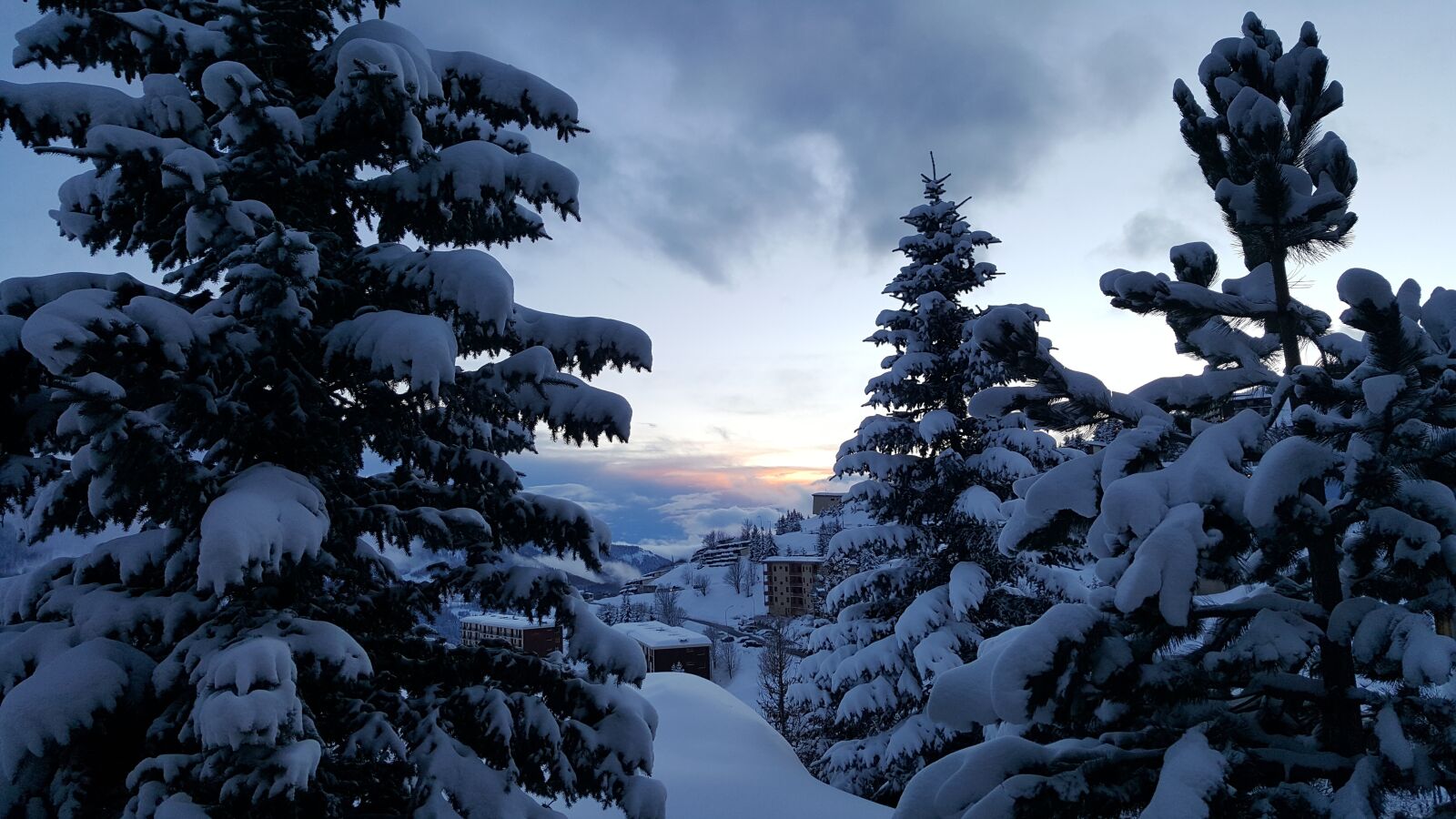 Samsung Galaxy S6 sample photo. Winter, snow, tree photography