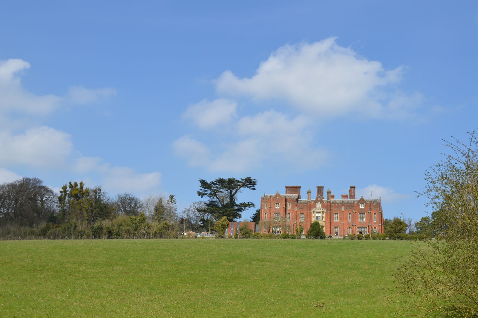 Nikon D3200 sample photo. Grass, tree, outdoors photography