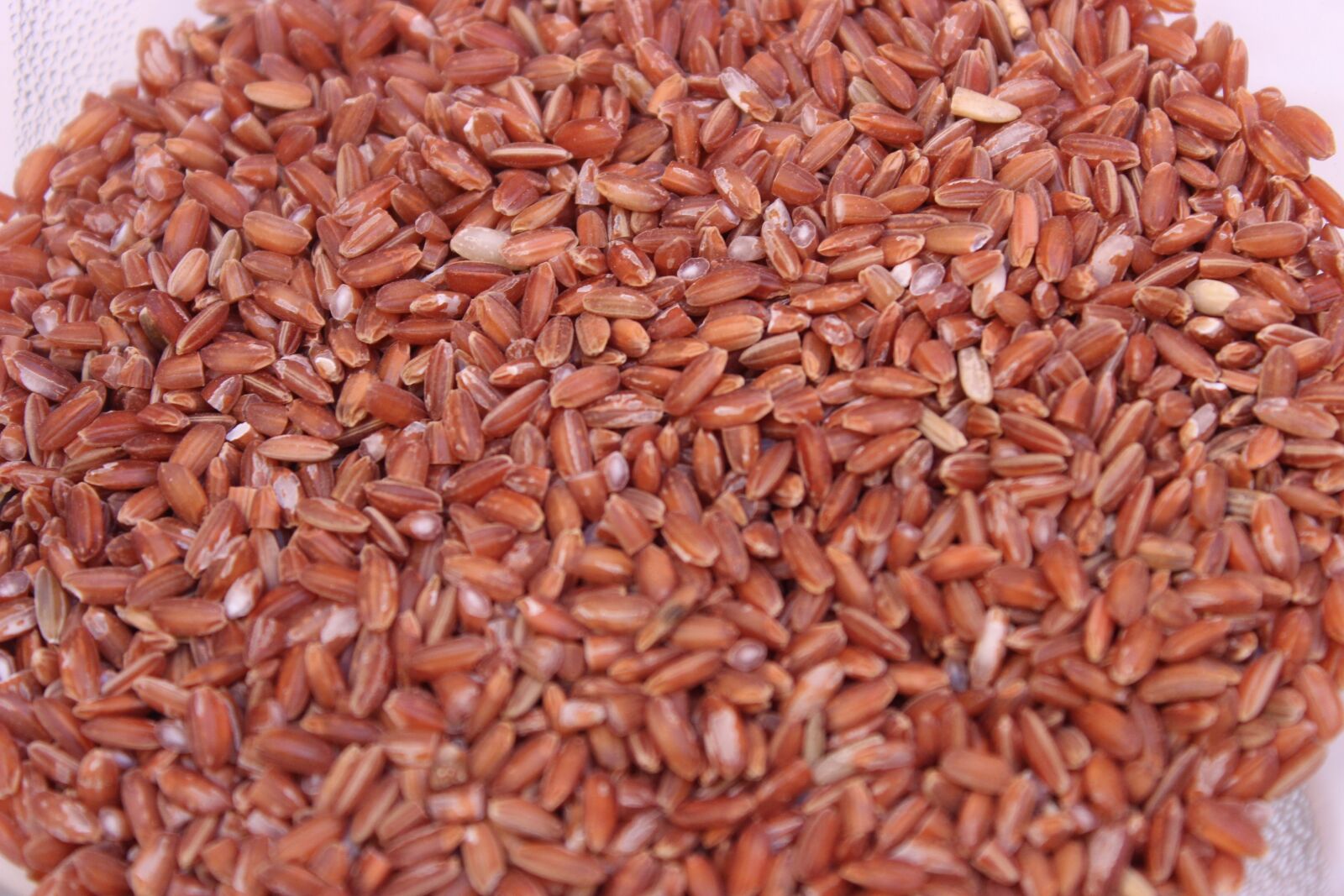 Canon EOS 600D (Rebel EOS T3i / EOS Kiss X5) sample photo. Rice, red rice, brown photography