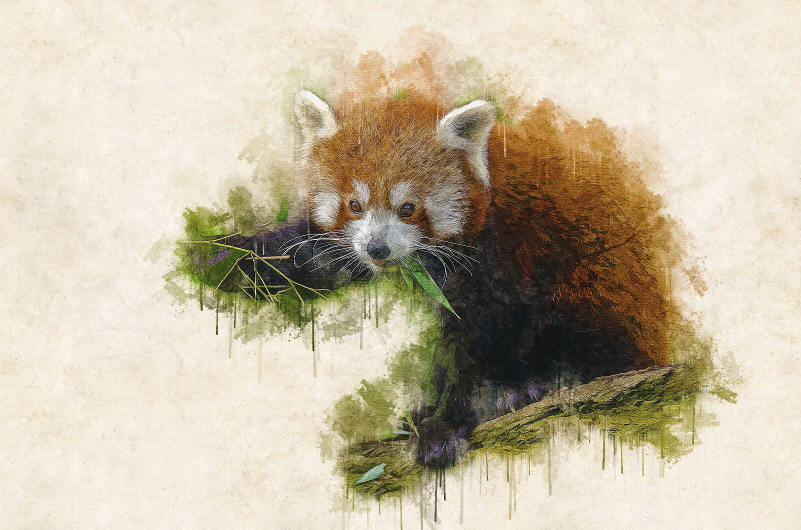 Nikon D7000 sample photo. Animal, branch, cute photography