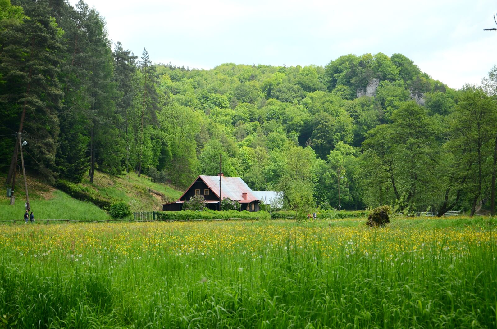 Nikon D7000 sample photo. Cottage, forest, meadow photography