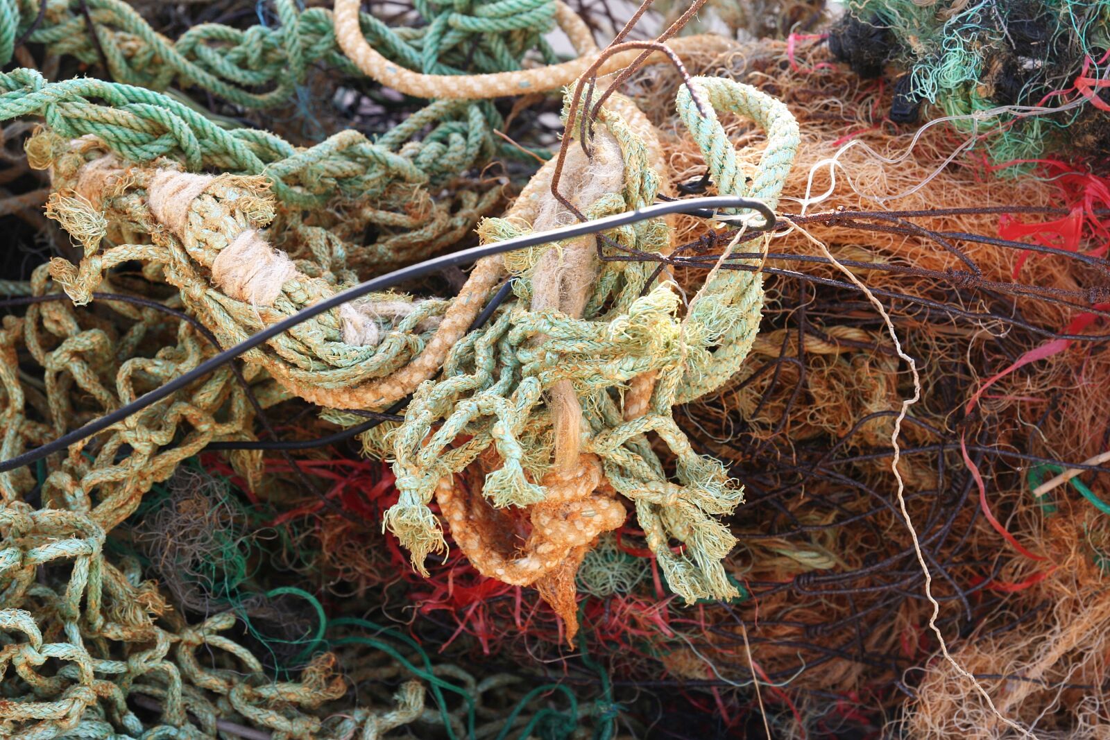 Canon EOS 350D (EOS Digital Rebel XT / EOS Kiss Digital N) sample photo. Flotsam, environment, web photography