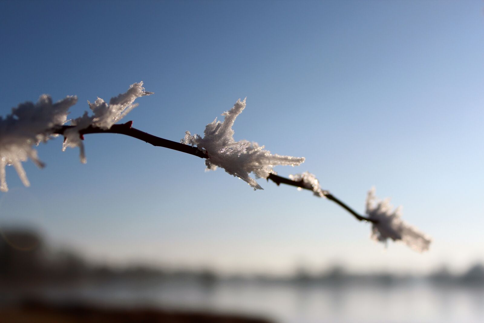 Canon EOS 600D (Rebel EOS T3i / EOS Kiss X5) sample photo. Lake, winter, frozen photography