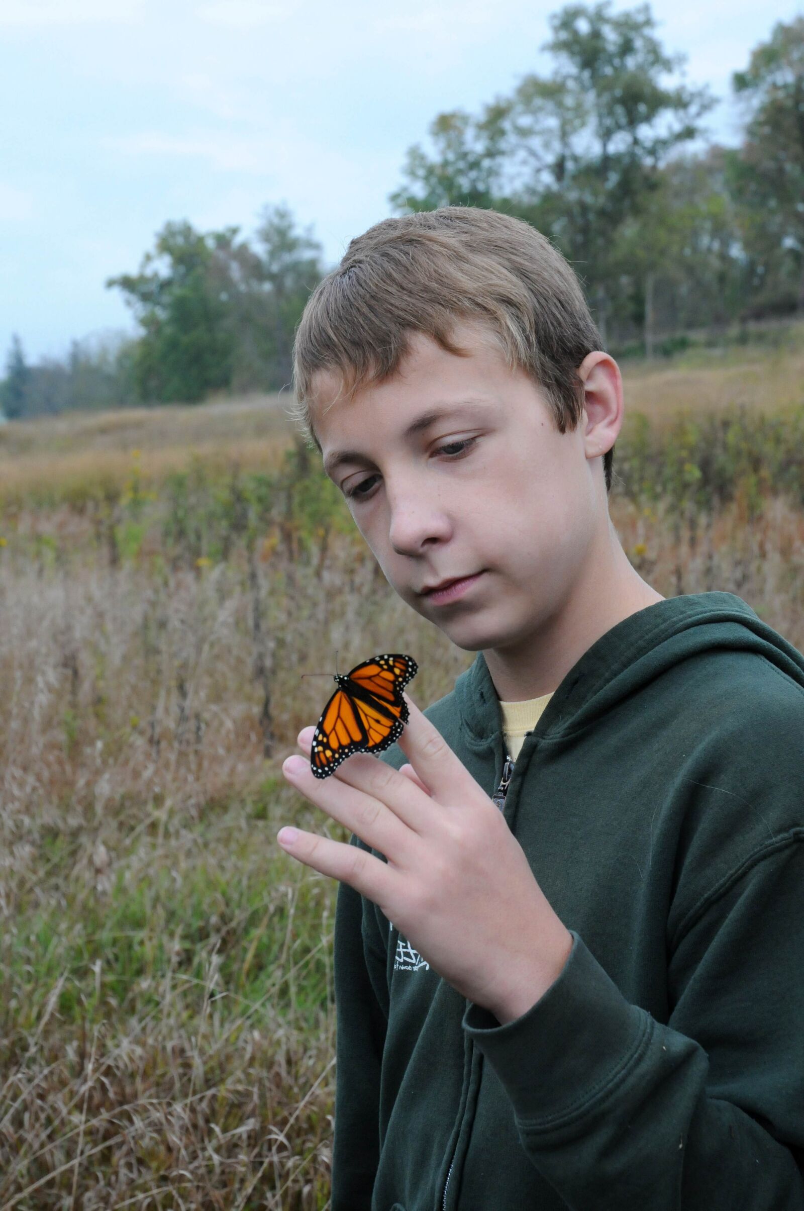 Nikon D300S sample photo. Young male, holds, monarch photography
