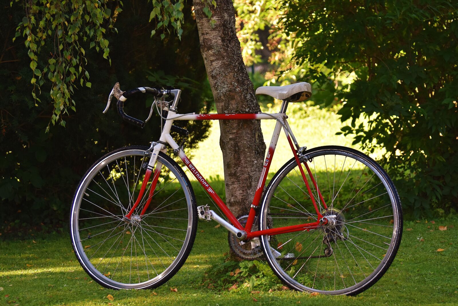 Nikon D7200 sample photo. Bike, cycle, wheel photography