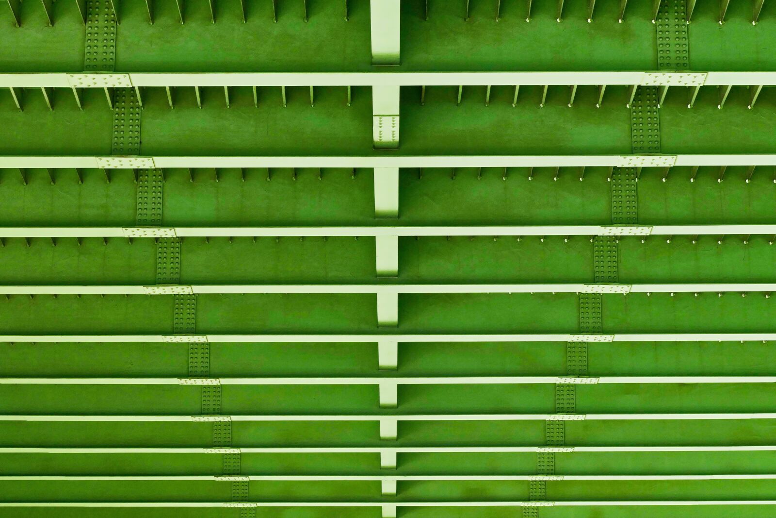 Panasonic Lumix DMC-FZ1000 sample photo. Background, pattern, texture photography