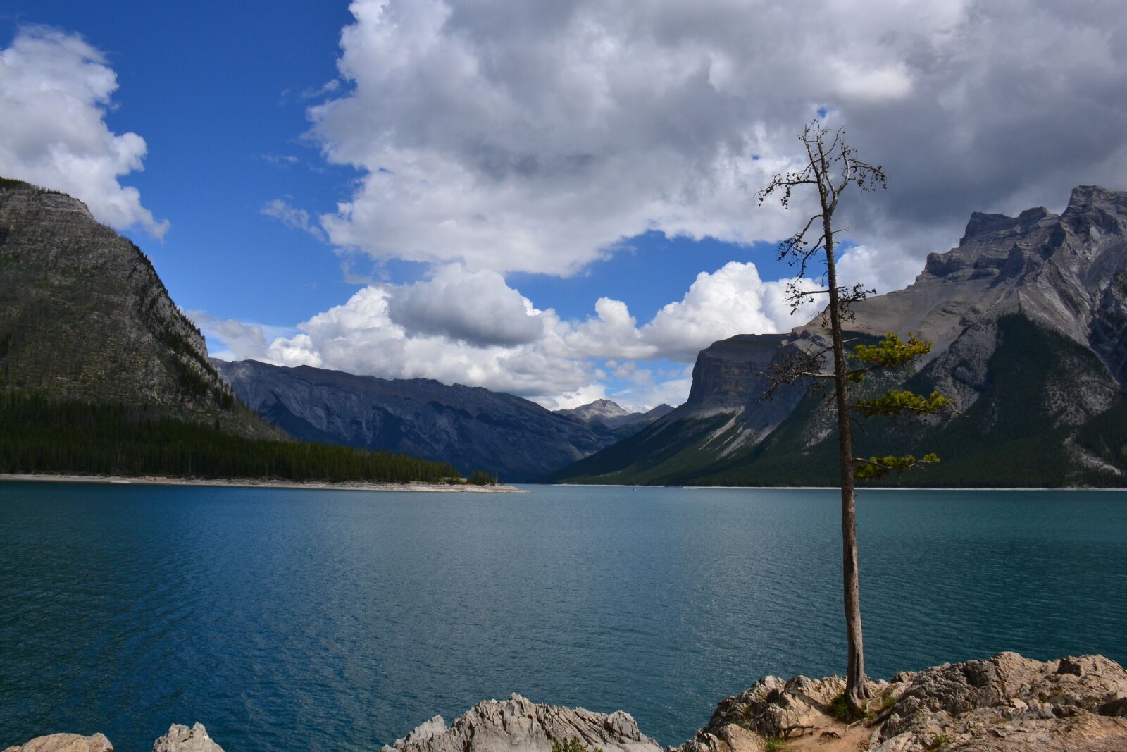 Nikon D3100 sample photo. Water, washington state, northwest photography