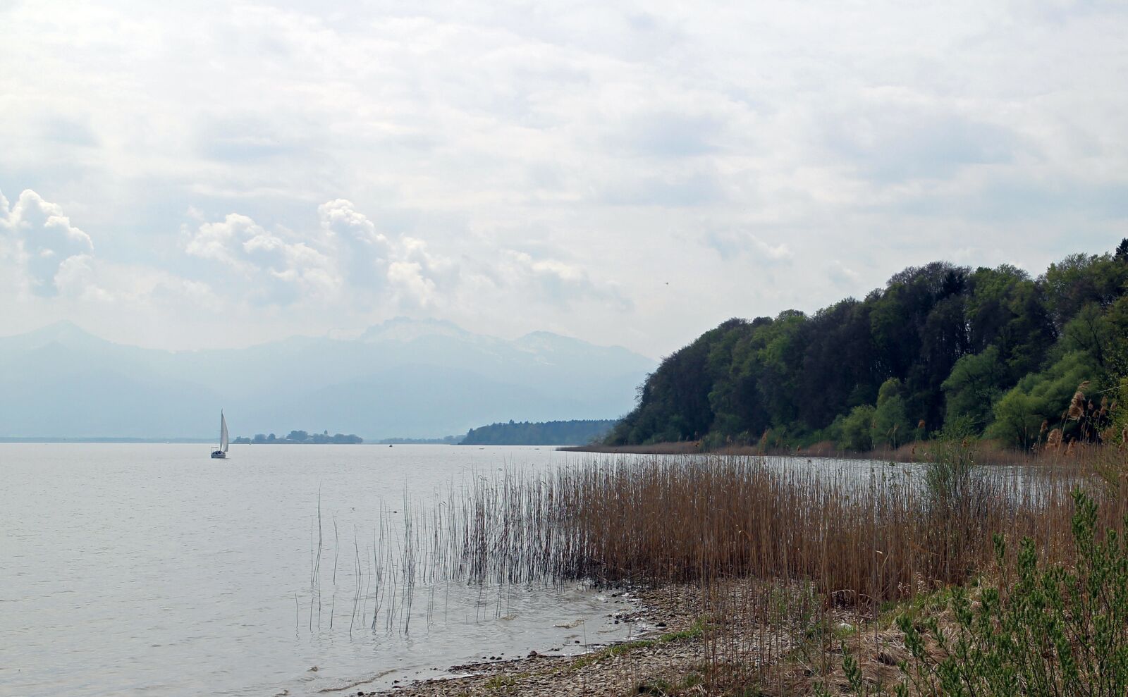 Canon EOS M sample photo. Reed, lake, bank photography
