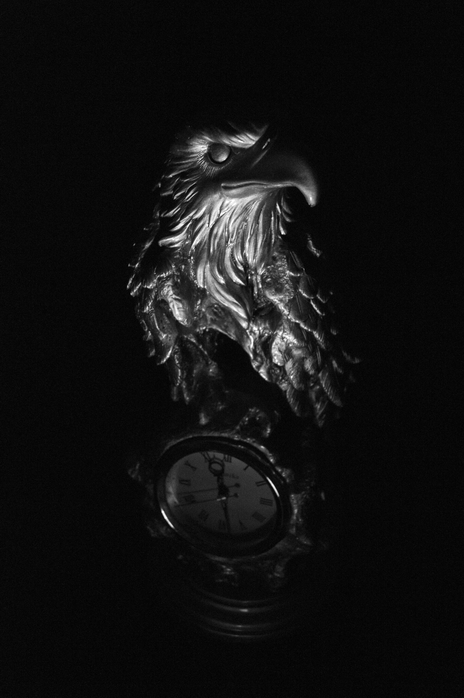 Sony DT 18-55mm F3.5-5.6 SAM II sample photo. Eagle, shadow, black and photography