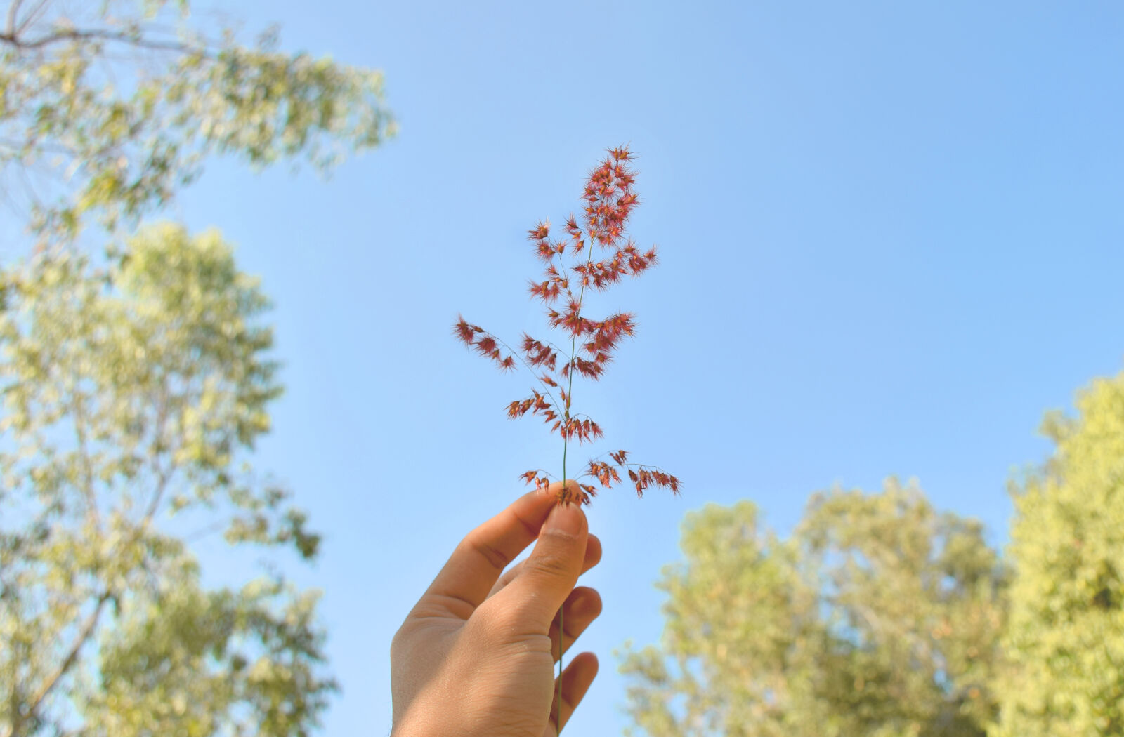 Nikon D5300 sample photo. Clear, clear, sky, daylight photography