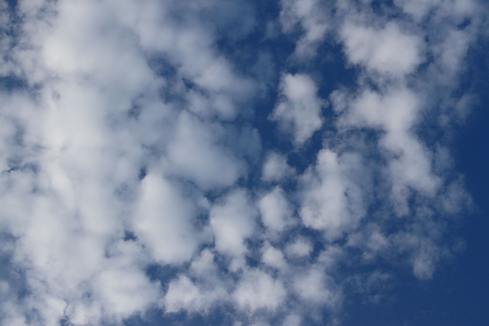 Canon EOS 7D sample photo. Air, atmosphere, azure photography