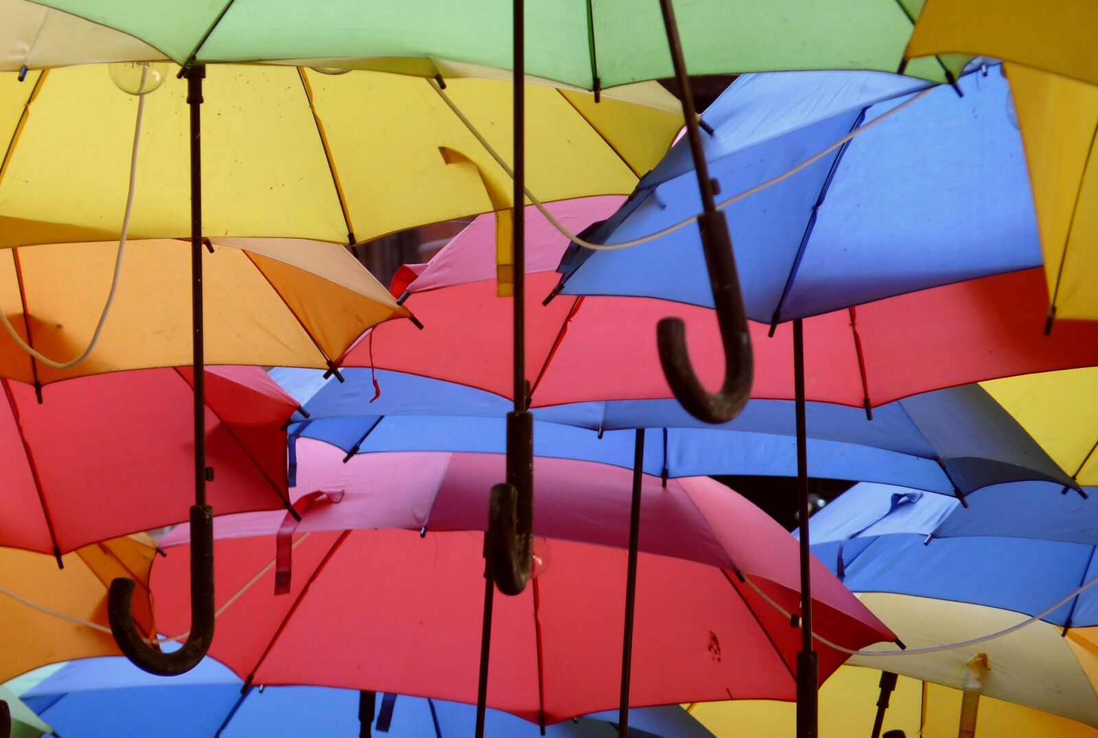 Panasonic Lumix DMC-FZ35 (Lumix DMC-FZ38) sample photo. Umbrellas, colorful, rain photography