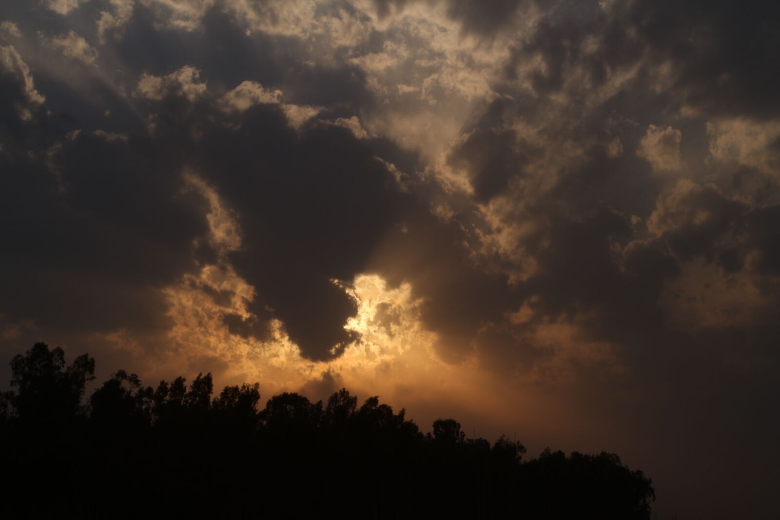 Canon EOS 700D (EOS Rebel T5i / EOS Kiss X7i) sample photo. Golden sky, golden hour photography