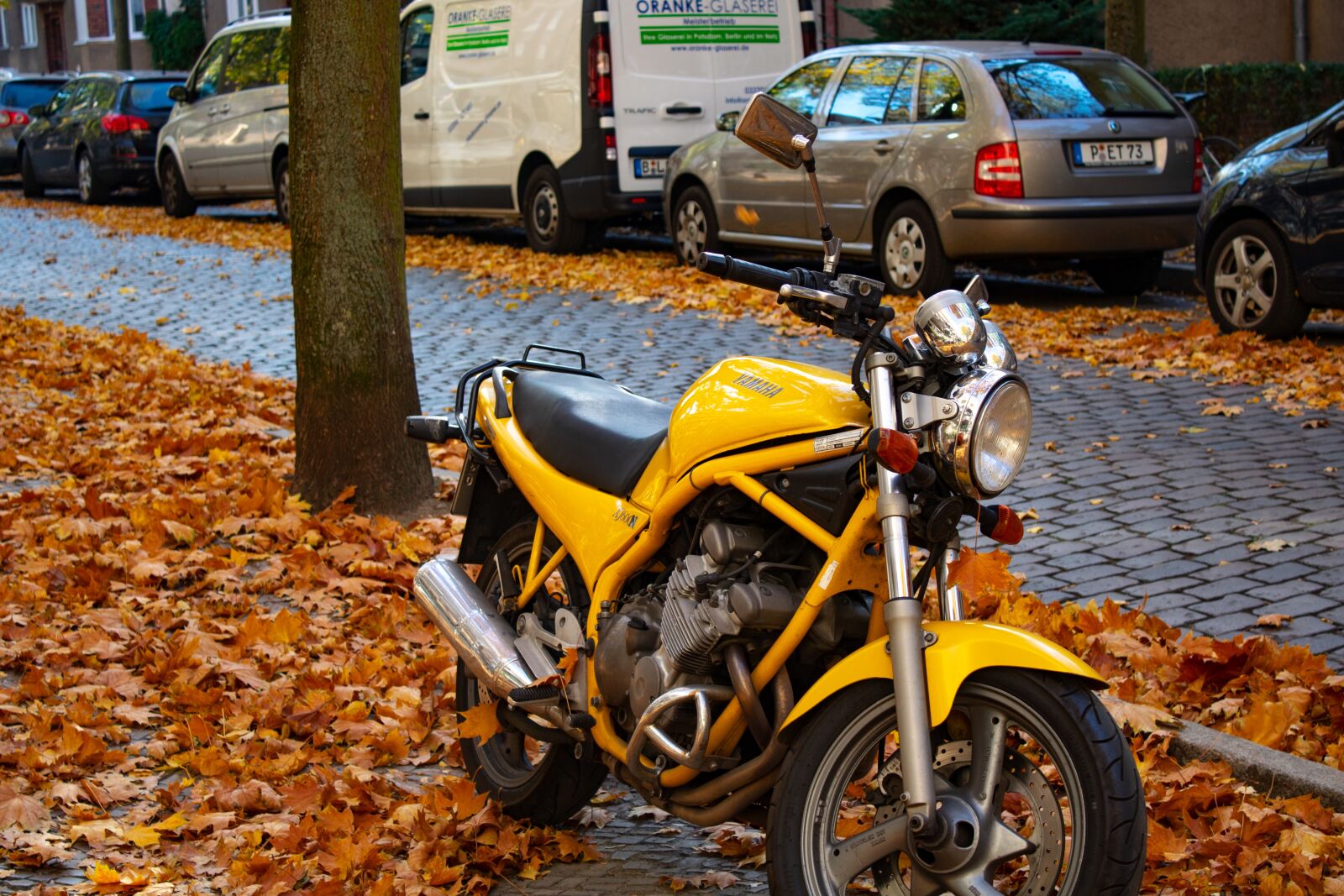 Canon EOS 750D (EOS Rebel T6i / EOS Kiss X8i) + Canon EF-S 18-55mm F3.5-5.6 III sample photo. Motorcycle, autumn, bike photography