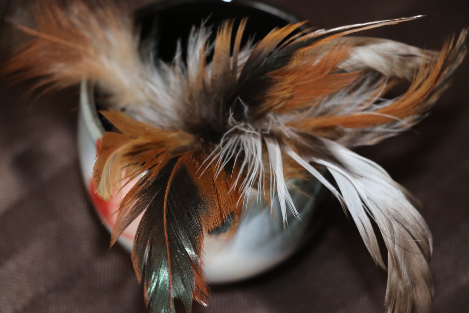 Canon EF-S 18-135mm F3.5-5.6 IS USM sample photo. Still life, cup, feathers photography