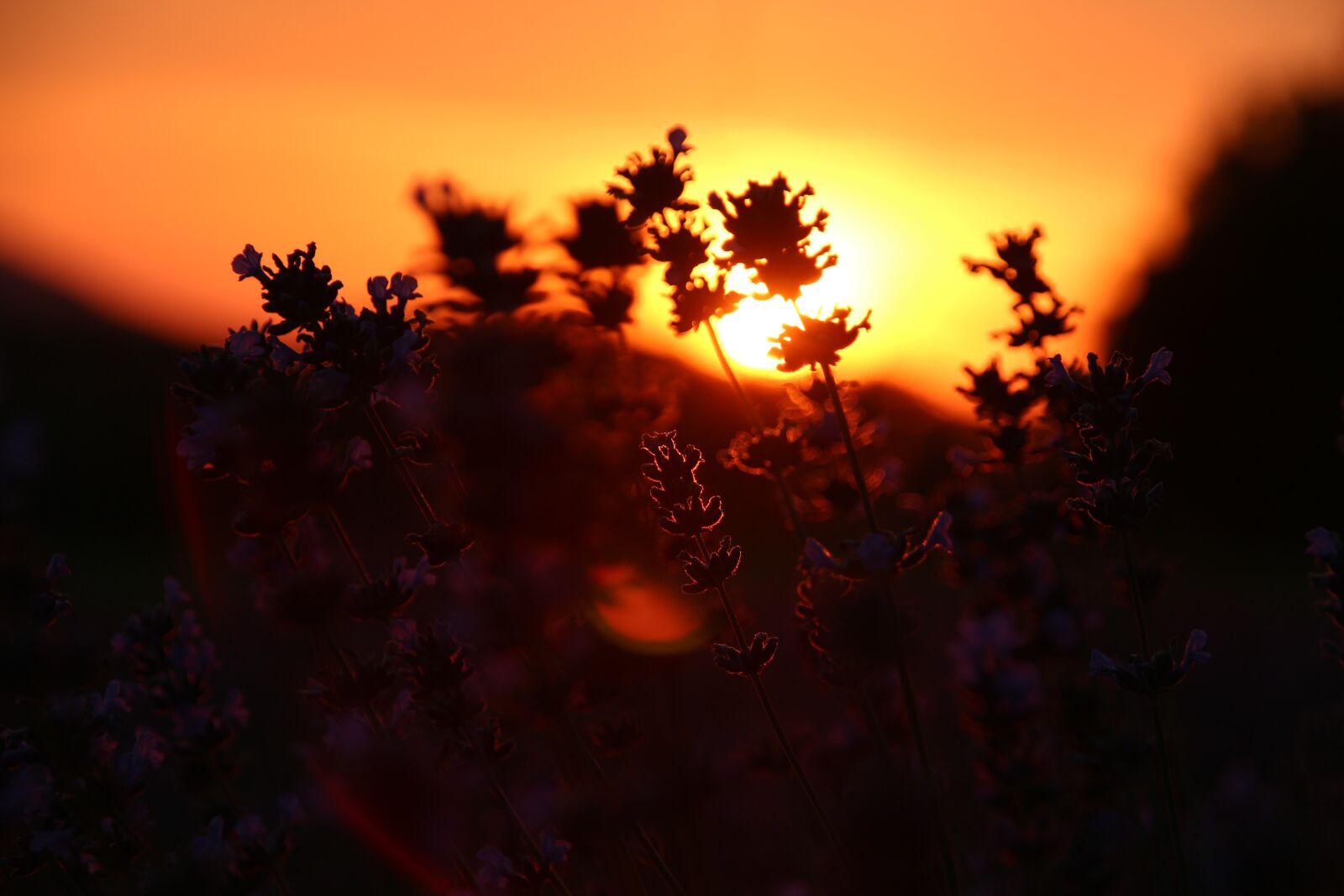 Canon EOS 650D (EOS Rebel T4i / EOS Kiss X6i) sample photo. Sunset, dusk, panorama photography