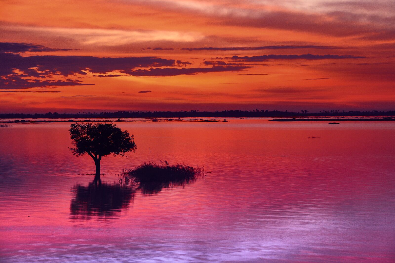 Canon EOS 400D (EOS Digital Rebel XTi / EOS Kiss Digital X) sample photo. Afterglow, tree, lake photography