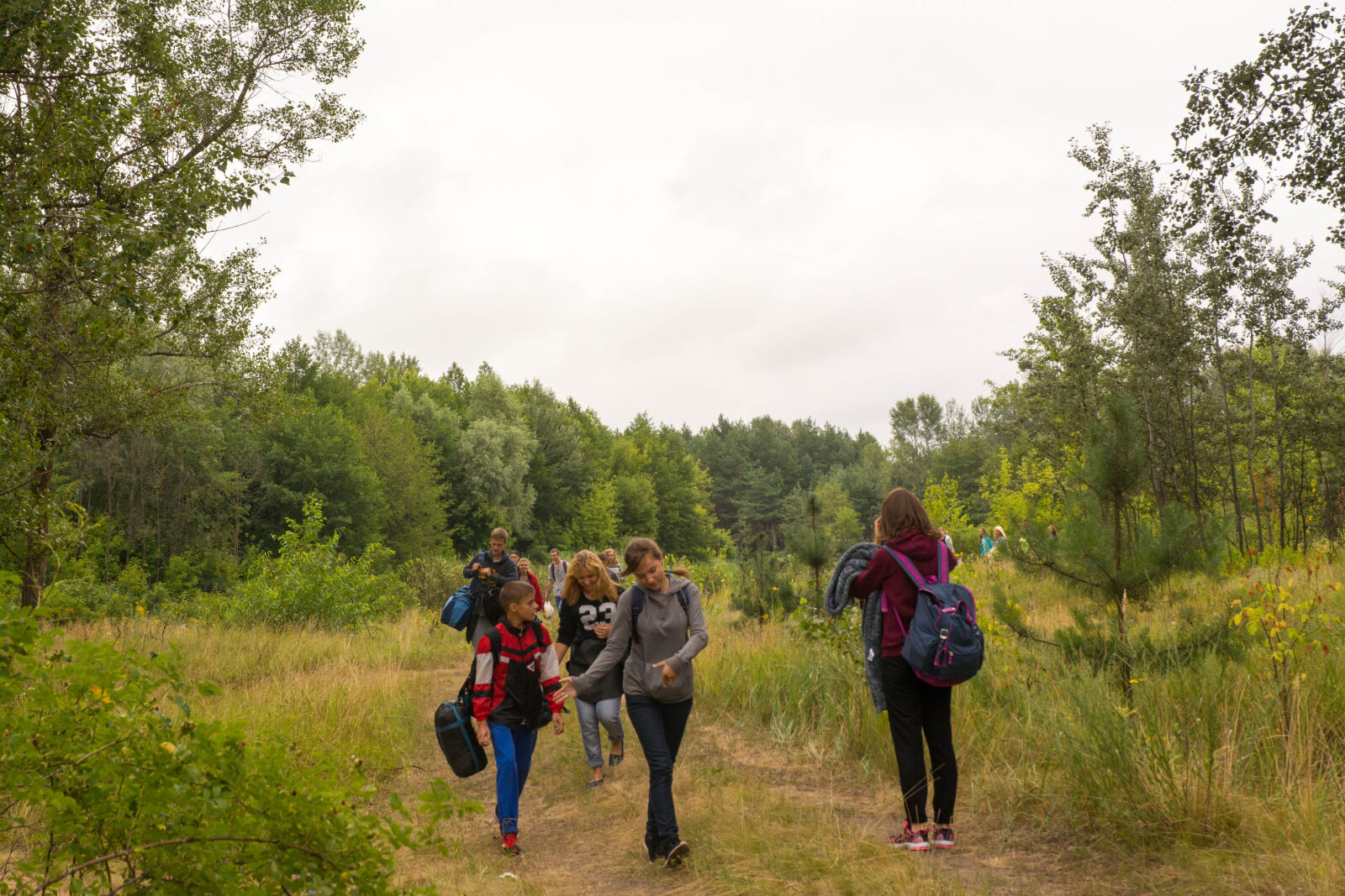 Nikon D7100 sample photo. Camp, forest, pine, forest photography