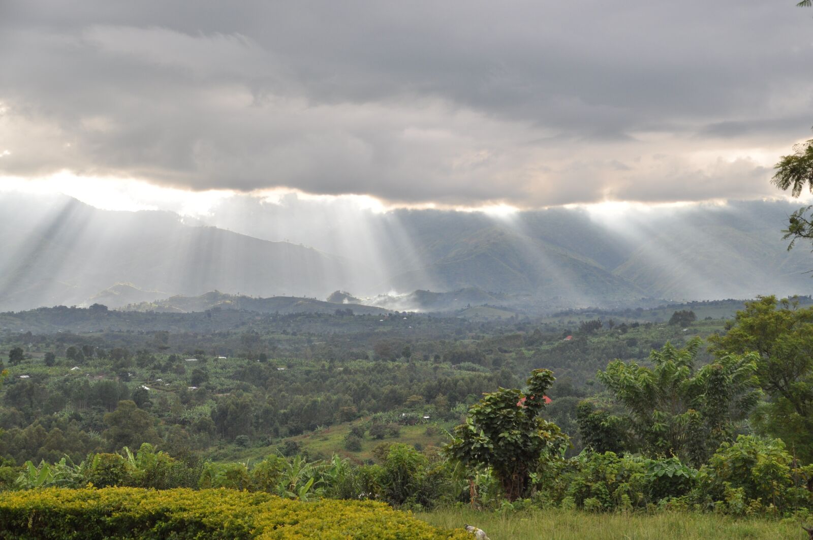 Nikon D5000 sample photo. Rwenzori, mountains, border photography