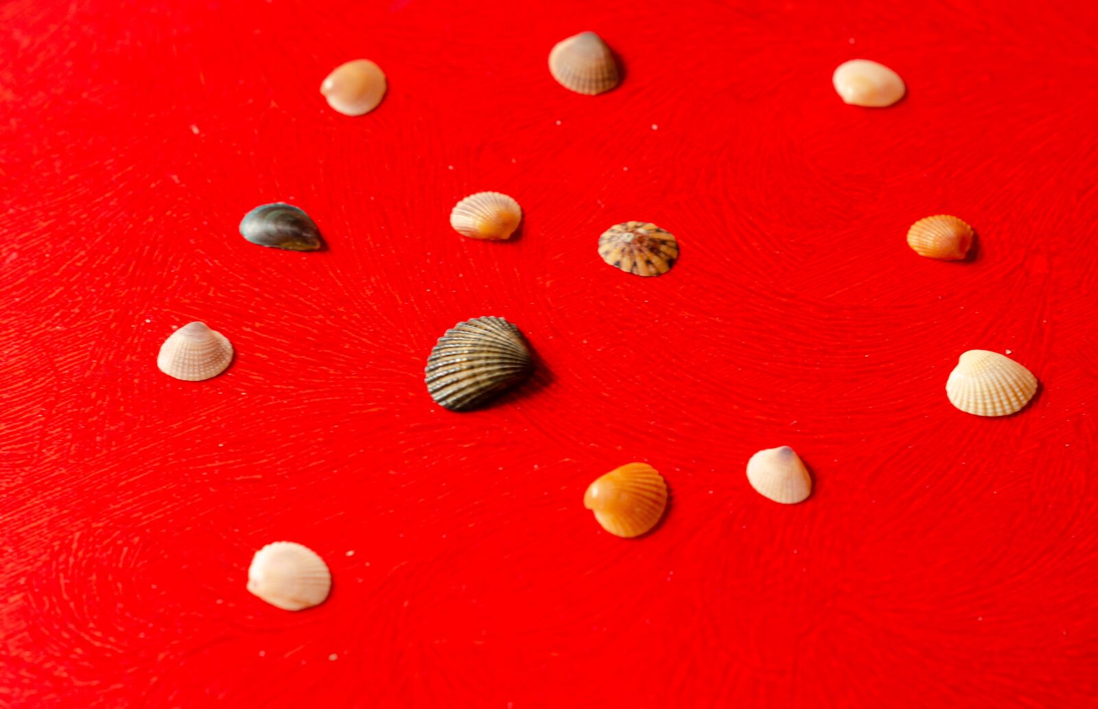 Nikon D7000 sample photo. Red, beach, ocean photography